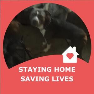 Meet your Posher, Derek